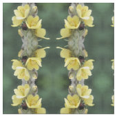 Käfer auf Wild-Mullein-Blume Stoff (Nahaufnahme)