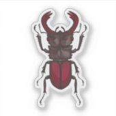 Käfer Aufkleber (Vorderseite)