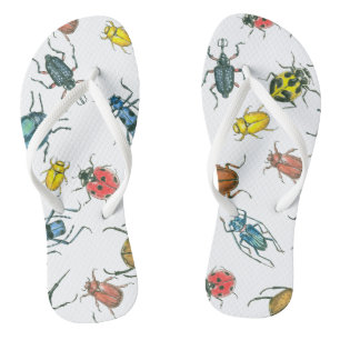 Käfer Badesandalen