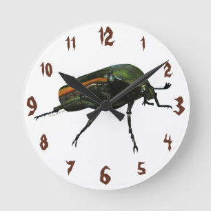 Käfer-Bug Akrylic Wall Clock Runde Wanduhr