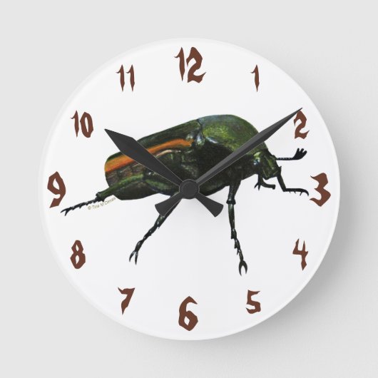 Käfer-Bug Akrylic Wall Clock Runde Wanduhr (Vorderseite)