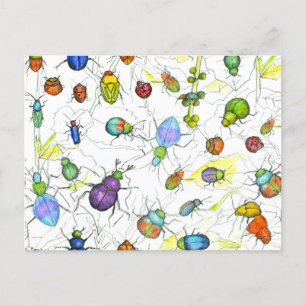 Käfer Bugs Insekten Crawling Blätter Twigs Postkarte