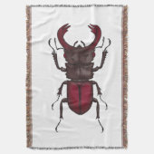 Käfer Decke (Vorderseite Vertikal)