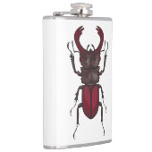 Käfer Flachmann (Rechts)