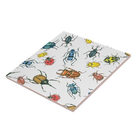 Käfer Fliese (Seite)