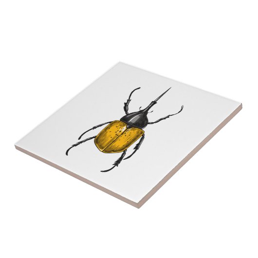 Käfer Fliese (Seite)