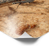 Käfer Fotodruck (Ecke)