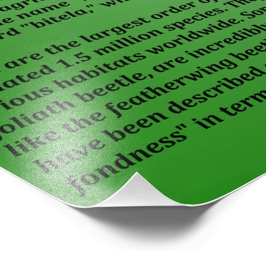 Käfer Fotodruck (Ecke)