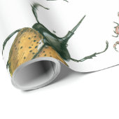 Käfer Geschenkpapier (Rolleneckpunkt)