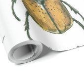 Käfer Geschenkpapier (Rolleneckpunkt)