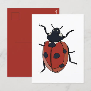 Käfer Insect Ladybug Käfer Postkarte