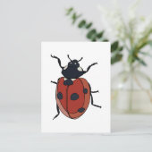 Käfer Insect Ladybug Käfer Postkarte (Stehend Vorderseite)