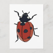 Käfer Insect Ladybug Käfer Postkarte (Vorderseite)