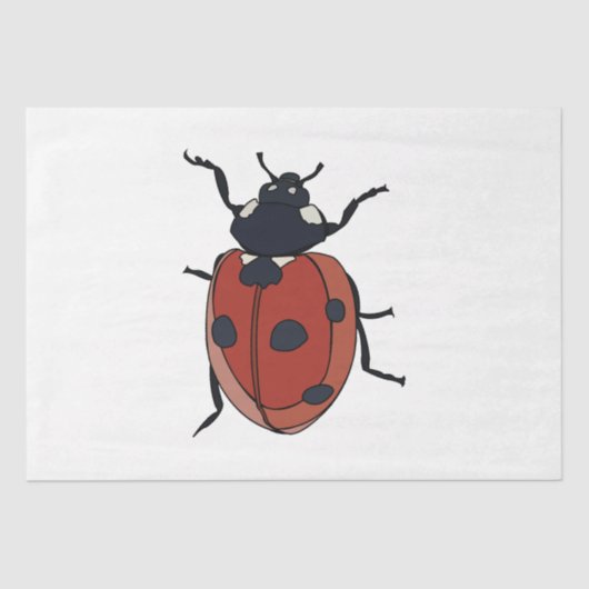 Käfer Insect Ladybug Käfer Seidenpapier (Vorderseite)