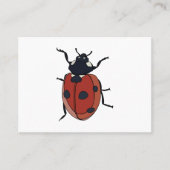 Käfer Insect Ladybug Käfer Visitenkarte (Vorderseite)