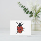 Käfer Insect Ladybug Käfer Visitenkarte (Stehend Vorderseite)