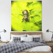 Käfer , Käfer , Bug Leinwanddruck (Insitu (Schlafzimmer))