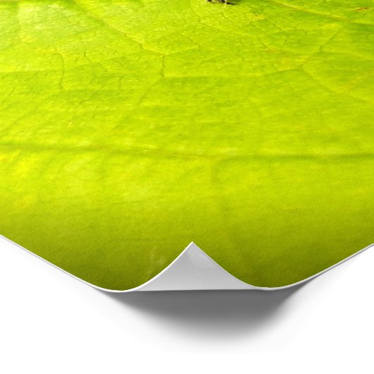 Käfer , Käfer , Bug Poster (Ecke)