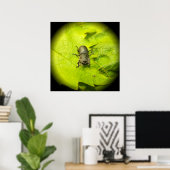 Käfer , Käfer , Bug Poster (Heimbüro)