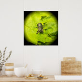 Käfer , Käfer , Bug Poster (Küche)