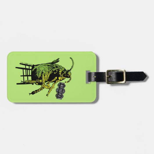 Käfer | Käfer im Vorsitz Gepäckanhänger (Vorderseite horizontal)