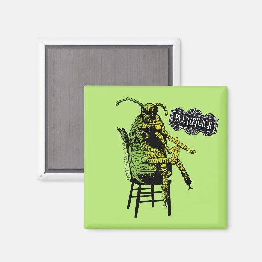 Käfer | Käfer im Vorsitz Magnet (Vorderseite/Rückseite)