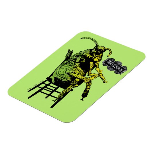 Käfer | Käfer im Vorsitz Magnet (Linke Seite)