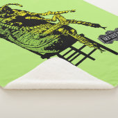 Käfer | Käfer im Vorsitz Sherpadecke (3/4)