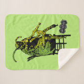 Käfer | Käfer im Vorsitz Sherpadecke (Vorderseite (Horizontal))