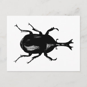 Käfer Käfer Insekt Käfer Vintage Holzschnitt Postkarte