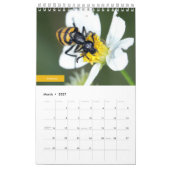 Käfer Kalender (Mär 2027)