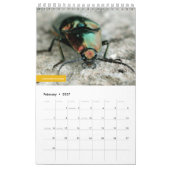 Käfer Kalender (Feb 2027)