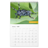 Käfer Kalender (Jan 2027)