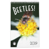 Käfer Kalender (Titelbild)