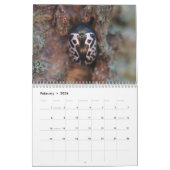 Käfer! Kalender (Feb 2026)
