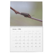 Käfer! Kalender (Jan 2026)