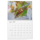 Käfer! Kalender (Mär 2027)