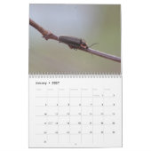 Käfer! Kalender (Jan 2027)