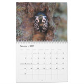 Käfer! Kalender (Feb 2027)
