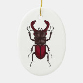 Käfer Keramik Ornament (Vorne)