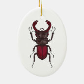 Käfer Keramik Ornament (Hinten)