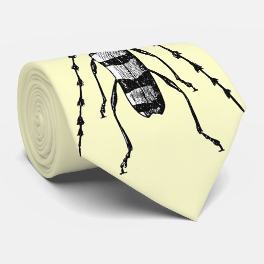 Käfer Krawatte (Gerollt)