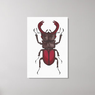Käfer Leinwanddruck