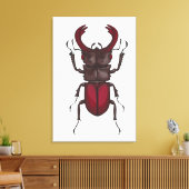 Käfer Leinwanddruck (Insitu (Wohnzimmer))