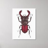 Käfer Leinwanddruck (Vorderseite)