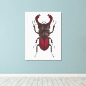 Käfer Leinwanddruck (Insitu (Holzboden))