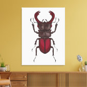 Käfer Leinwanddruck (Insitu (Wohnzimmer))