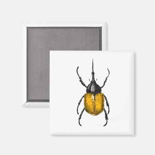 Käfer Magnet (Vorderseite/Rückseite)