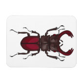 Käfer Magnet (Horizontal)