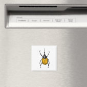 Käfer Magnet (In Situ (Geschirrspüler))
